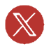 X Icon