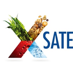 Xingfa USA Corporation X sate company logo